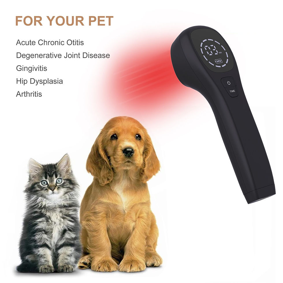 Miniatúra: LLLT Cold Laser Therapy Device 650nm 808nm Sport Injuries Sciatica Heel Spurs