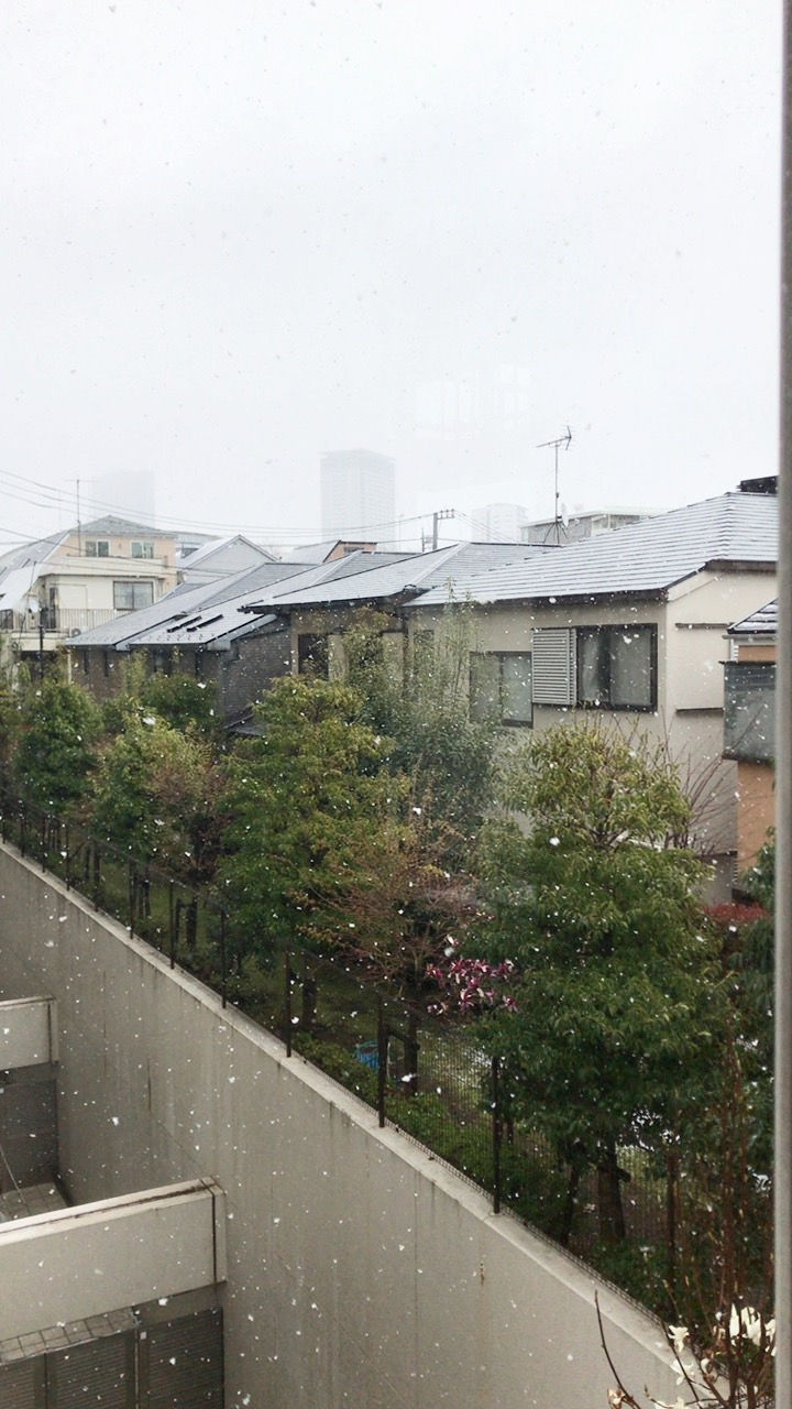 雪の日の写真