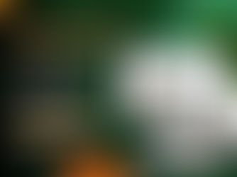 El Gobierno del Distrito de Aceh Singkil y los Representantes de las Partes Interesadas de los Socios para el Desarrollo Acordaron una Gobernanza Sustainable Palm Oil 2024-2026