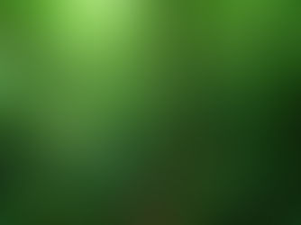 Harnessing Tech and Digitalization, Safeguarding Indonesia's Rainforest