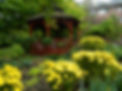 Bruce's Garden