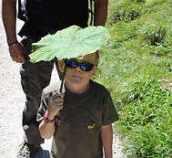 Science primaire IEF