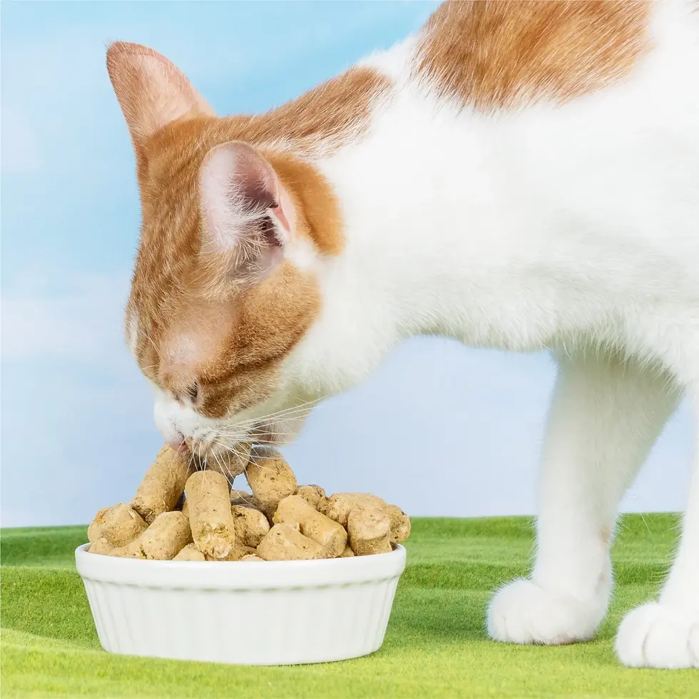 Thumbnail: 汪喵星球 貓用天然低敏凍乾主食餐 (80G)