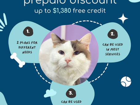 Prepaid Cash Plan