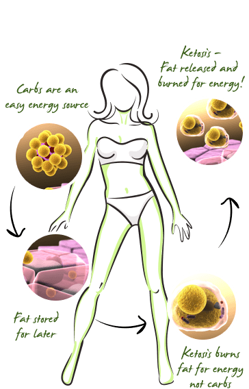 Fitness Keto