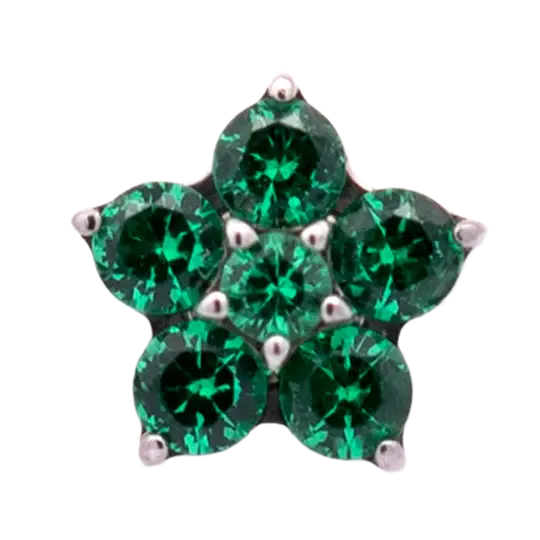 Thumbnail: Five Petal CZ Titanium Flower