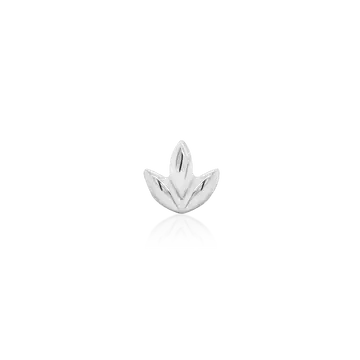 White Gold 'Dr Bloom'