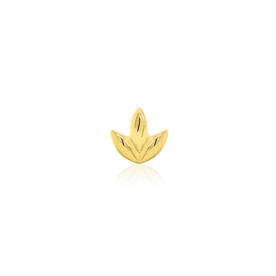 Yellow Gold 'Dr Bloom'