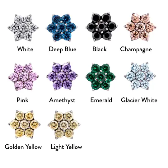 Thumbnail: Six Petal CZ Titanium Flower