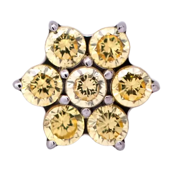 Thumbnail: Six Petal CZ Titanium Flower