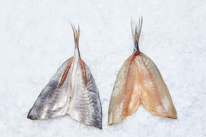 horse mackerel fillet6.jpg