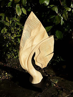Leaf in Relief 1.jpeg