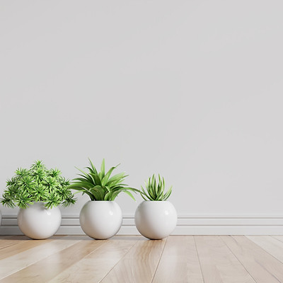 札幌　地域連携