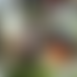 월악산 제비봉 등반대회