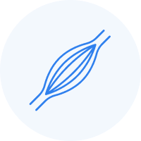 04|支撐 (Support).png