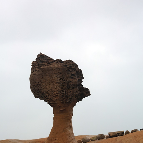 1차 해외시찰-대만여행기2