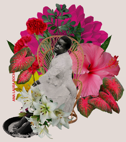 Baba 2 - Rainha