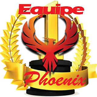 Foto do escritor: Equipe Phoenix MAV