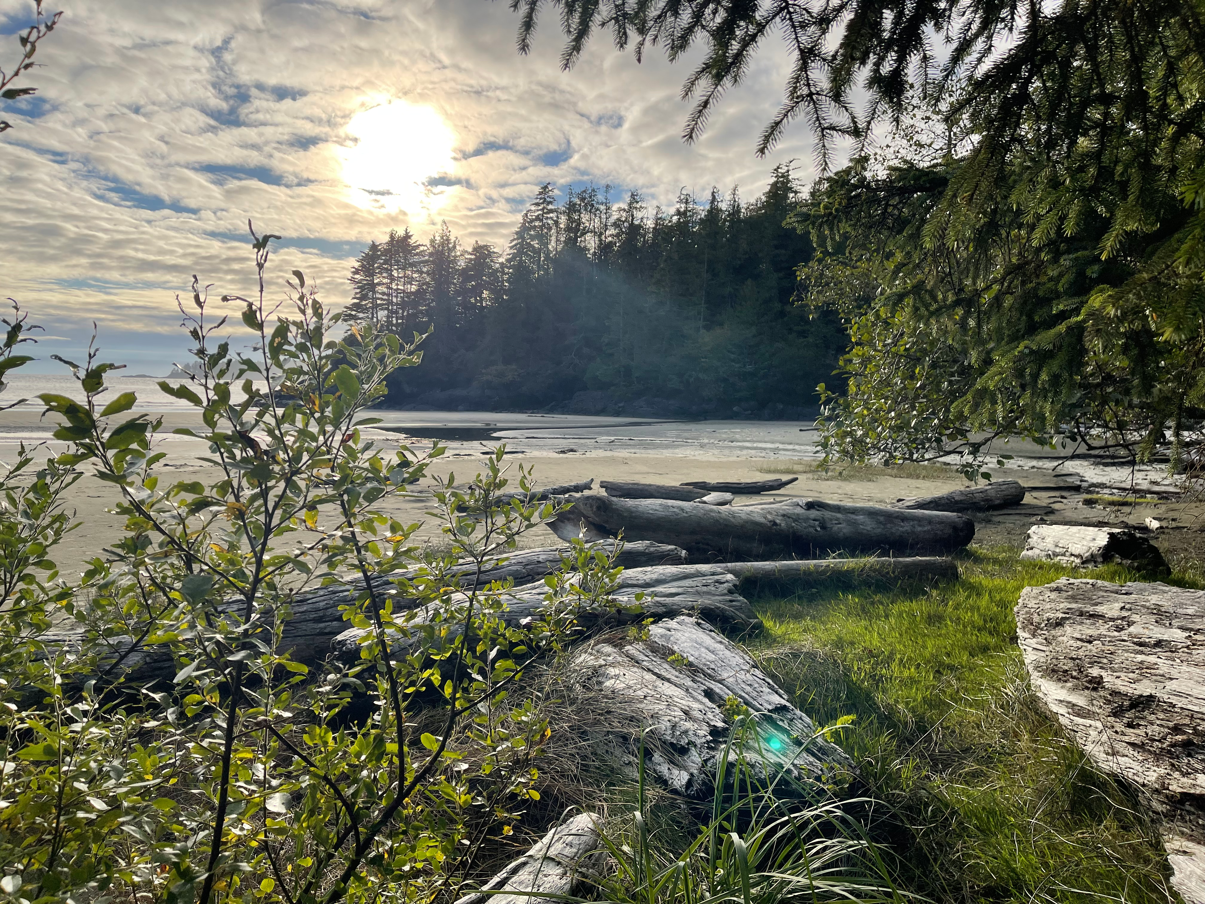 Tofino Motel Harbourview in Tofino, Canada