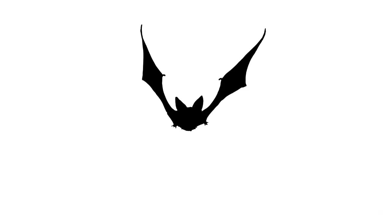 bat-clipart-animation-4.gif