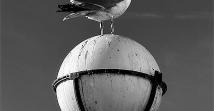 ON TOP OF THE WORLD MA by Terry Shea.jpg