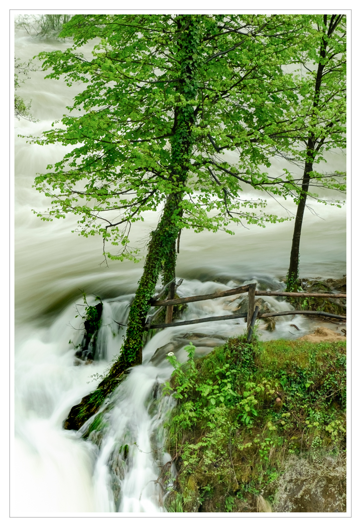 JUST HANGING ON by Chris Reynolds