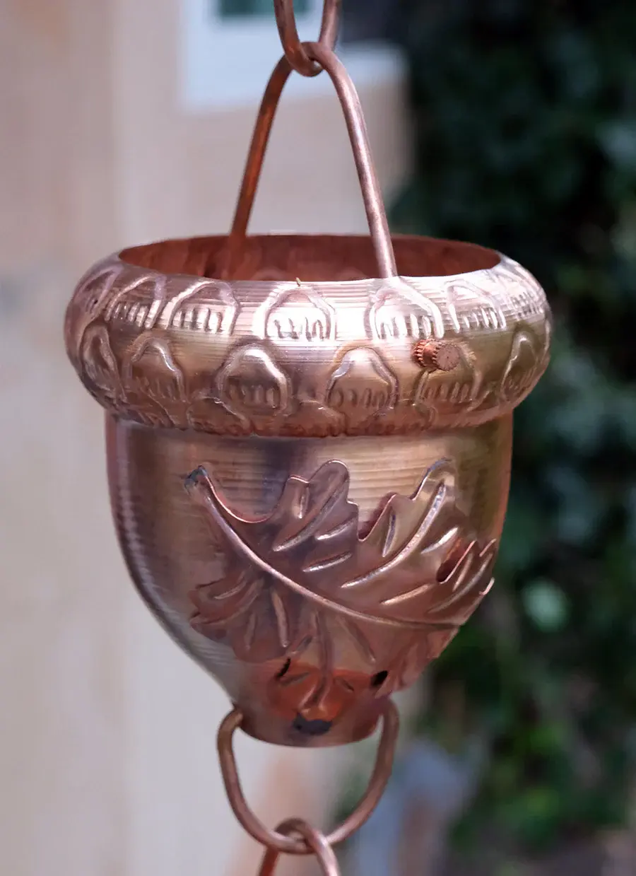 Miniature : Thème - Coupes Gland Avec Feuille