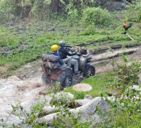 Chiang Mai Adventure ATV - UTV 1.GIF