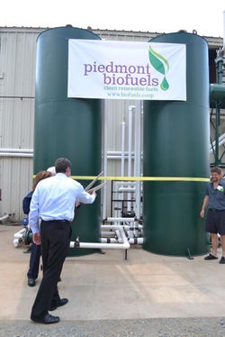 Enzymatic Ribbon Cutting
