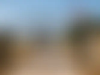 Custom Metal Gates That Hold Up in Texas