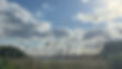 IMG_9656_edited.jpg