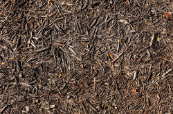 Dark Brown Mulch