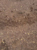 Finely Shredded Mulch ($50 per yd)
