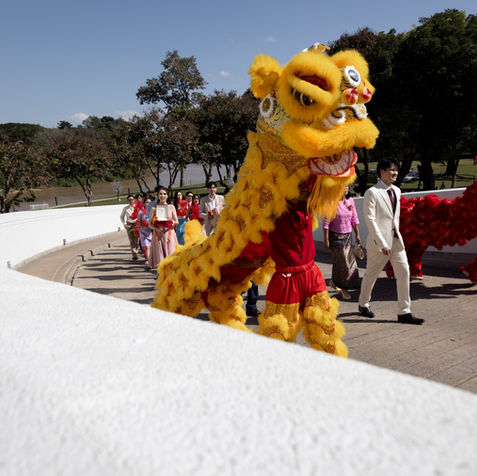 A bright yellow lion dancer performing during the outdoor wedding procession.