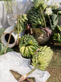 Destination Wedding Chiang Mai