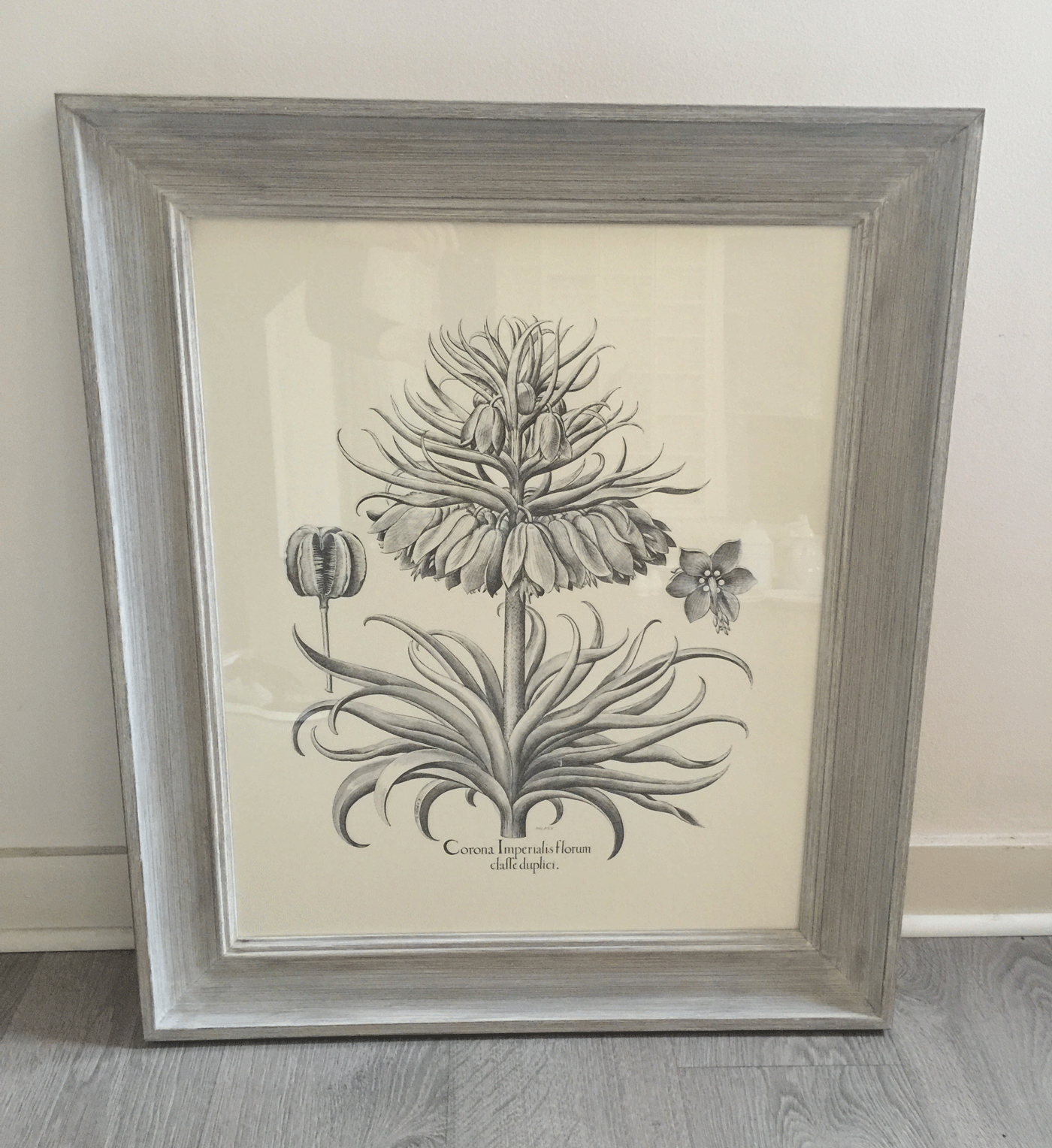 Botanical-Etching