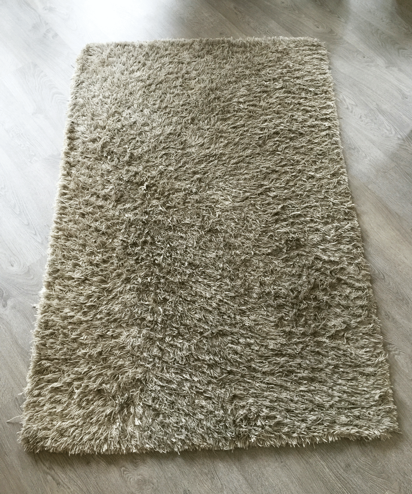 Shag-Rug-Too