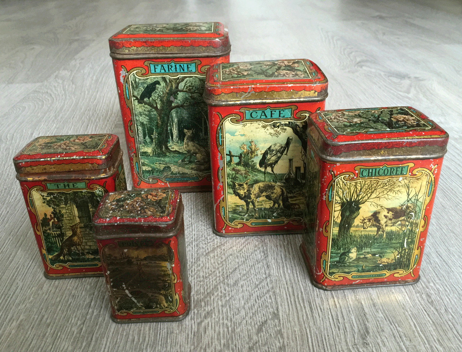 Tins-1
