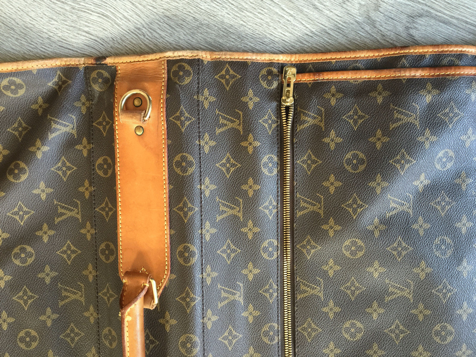 Louis Vuitton Suit Carrier Detail