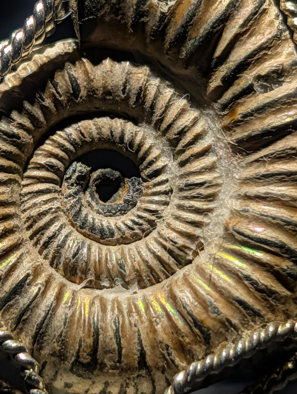 Thumbnail: Pyrite Ammonite Fossil Pendant