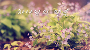 하나님의 약속