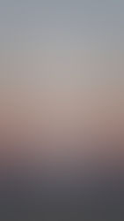 Song of solomon 솔로몬의 노래