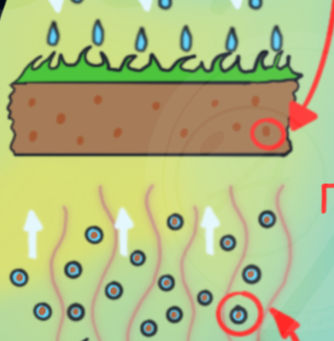 Эмбер и Запах Дождя