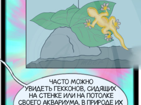 Amber и миллион крошечных волосков