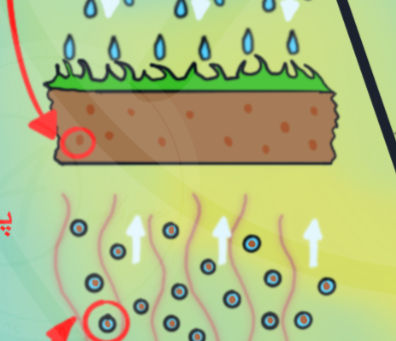 کهربا و بوی باران