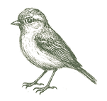 ChatGPT Image 20 août 2025, 12_14_44_edi