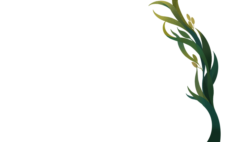 Untitled_Artwork 125.png