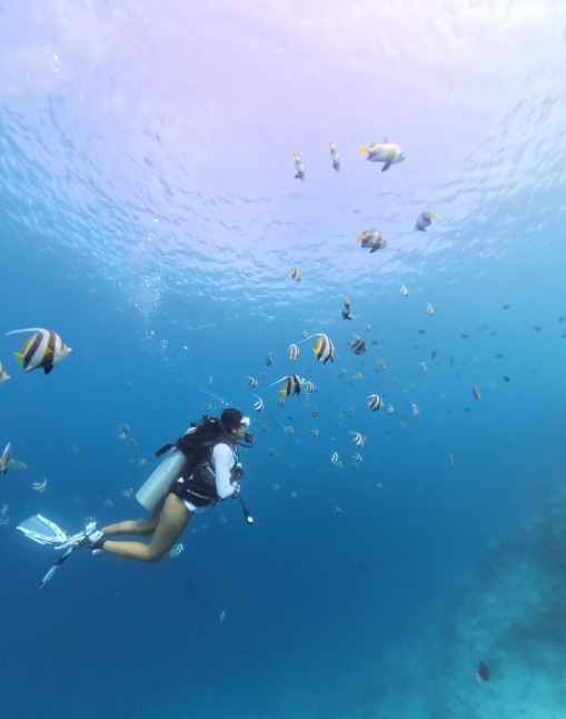 The Maldives