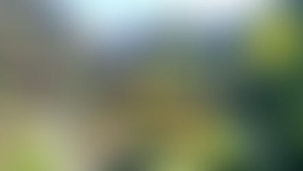 Going Along The Pacific 