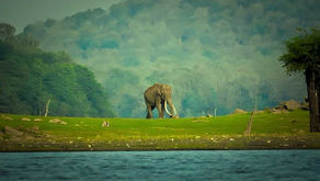 Kabini Wildlife Reserve and River